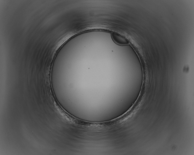 X0000090971137200708241309