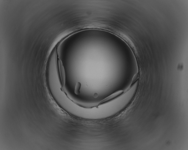 X0000090971138200708241309