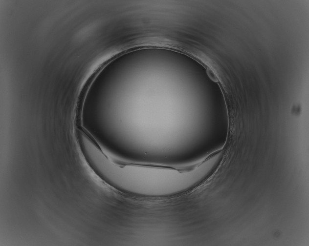 X0000090971139200708241309