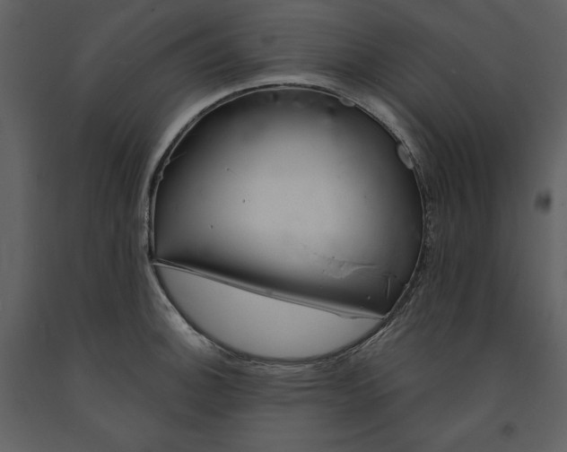 X0000090971140200708241309