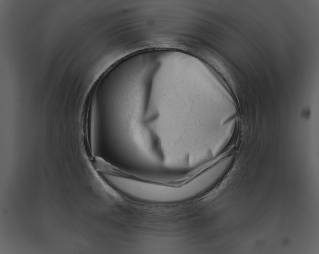 X0000090971141200708241309