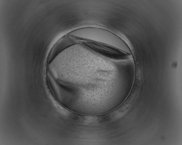 X0000090971144200708241309