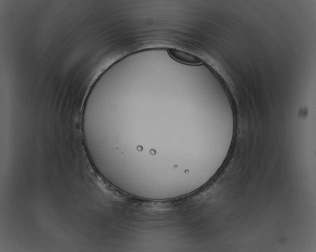 X0000090971145200708241309