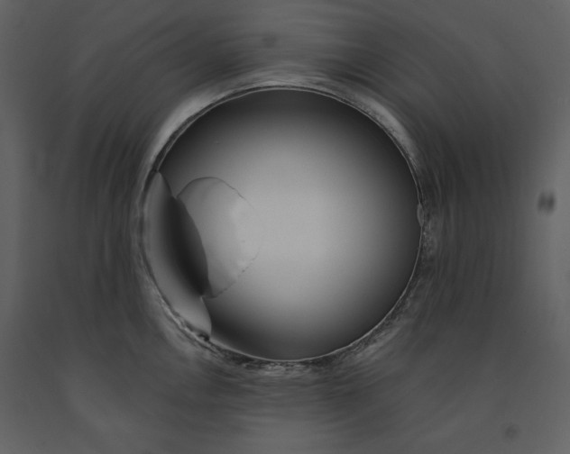 X0000090971146200708241309