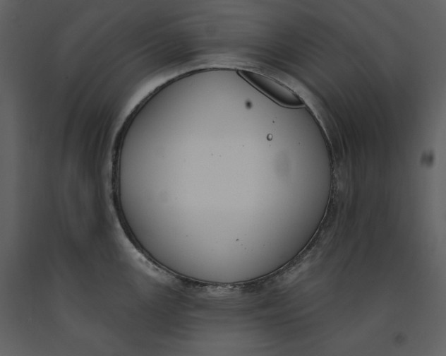 X0000090971147200708241309