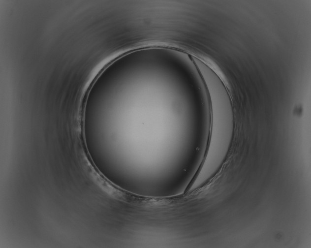 X0000090971148200708241309