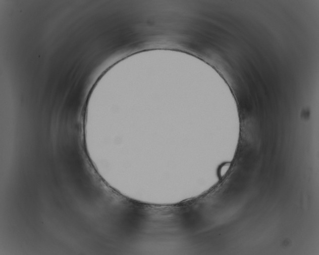 X0000090971150200708241309