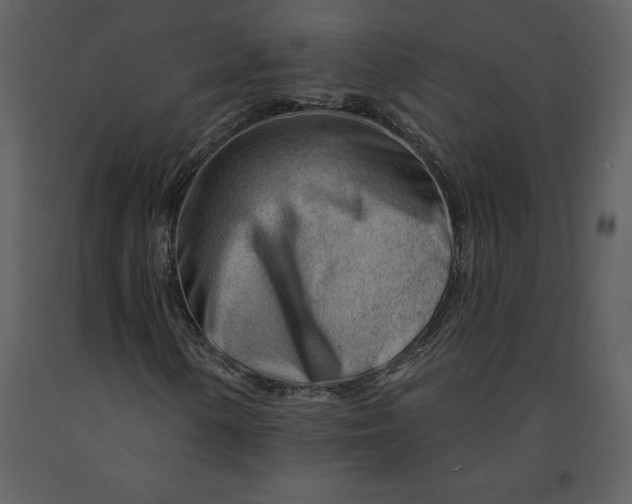 X0000090971154200708241309