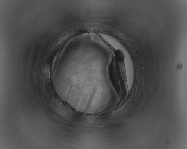 X0000090971155200708241309