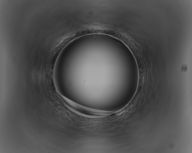 X0000090971157200708241309