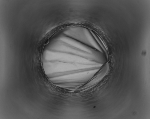 X0000090971158200708241309