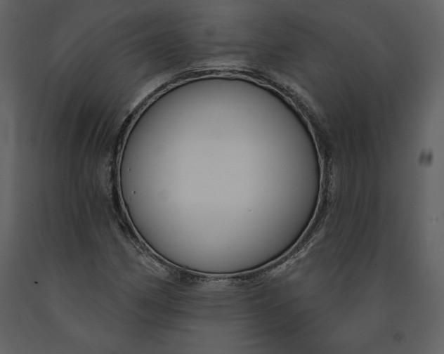 X0000090971162200708241309