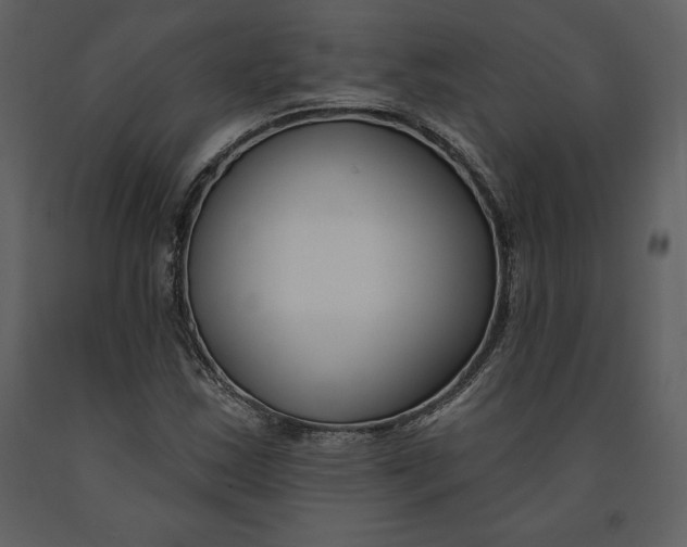 X0000090971163200708241309