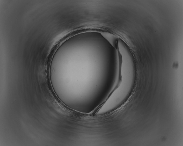 X0000090971164200708241309