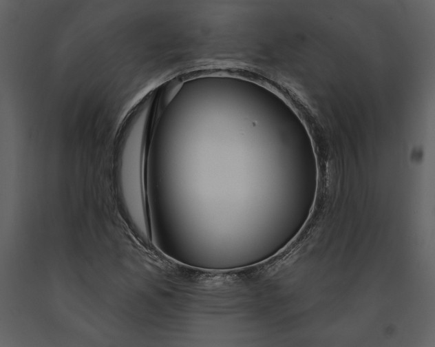 X0000090971165200708241309