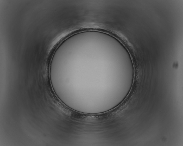 X0000090971167200708241309