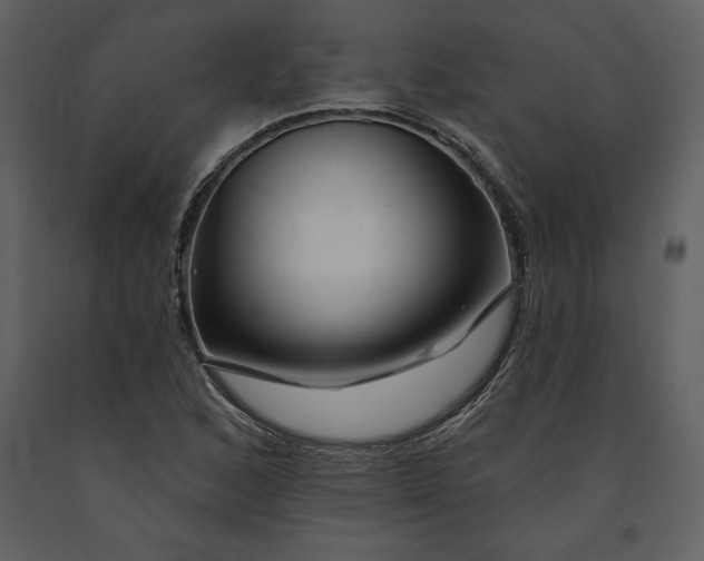 X0000090971168200708241309