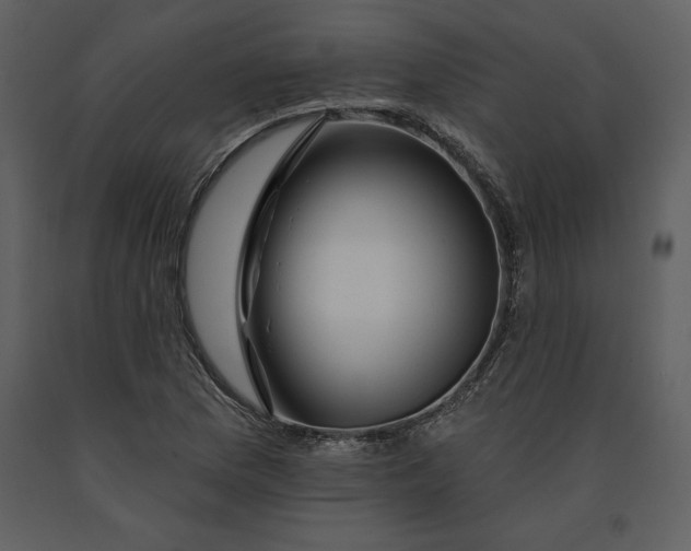 X0000090971169200708241309