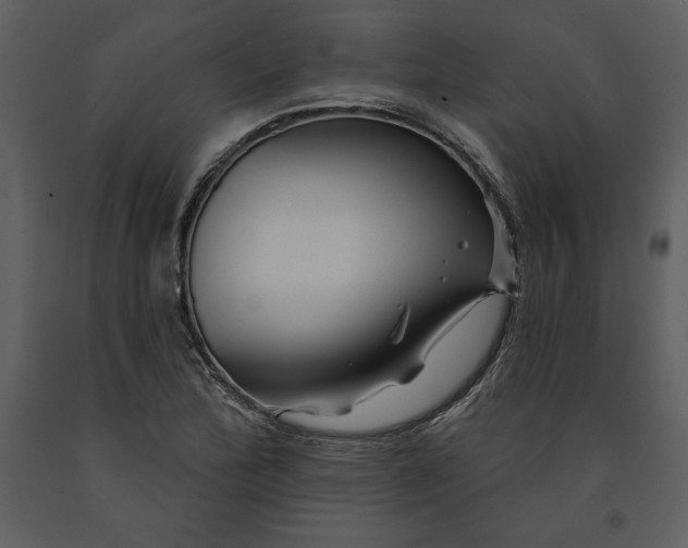 X0000090971172200708241309