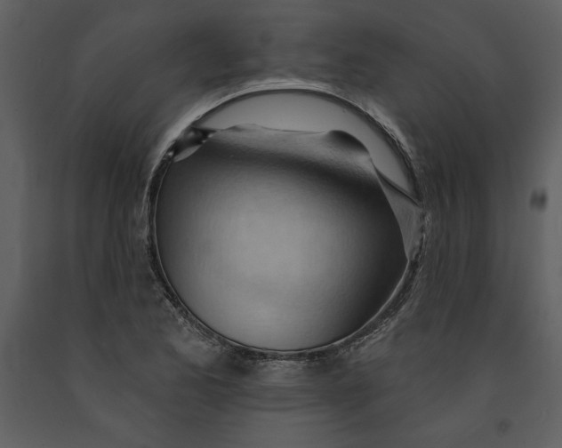 X0000090971173200708241309