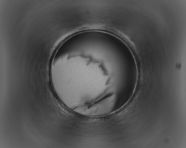 X0000090971174200708241309