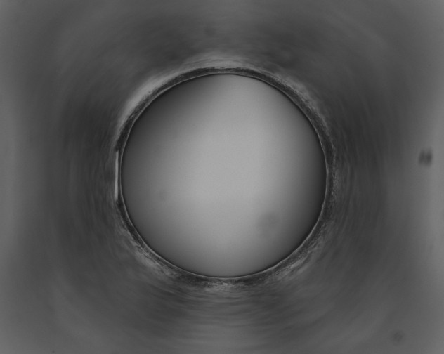 X0000090971175200708241309