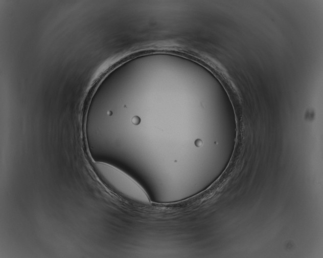 X0000090971176200708241308