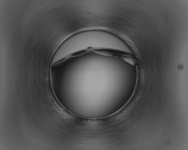 X0000090971177200708241308