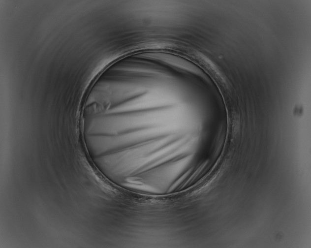 X0000090971178200708241308