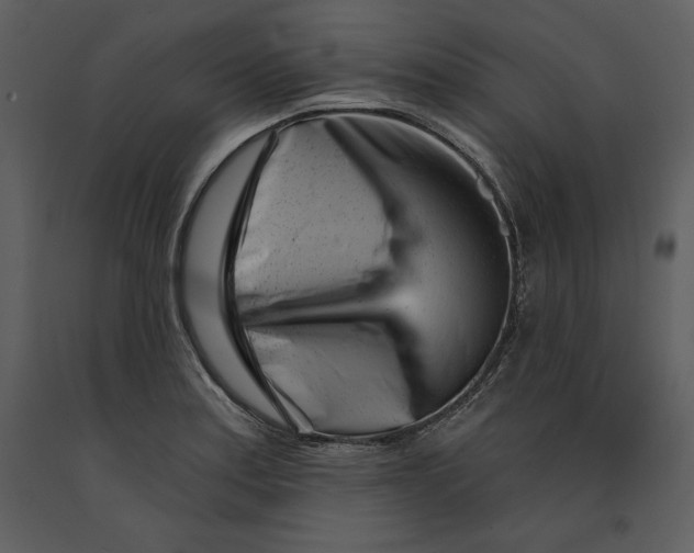 X0000090971179200708241308