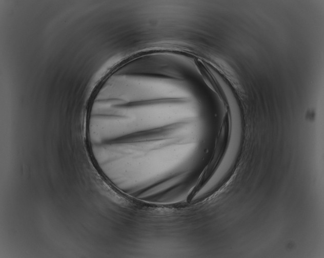 X0000090971180200708241308