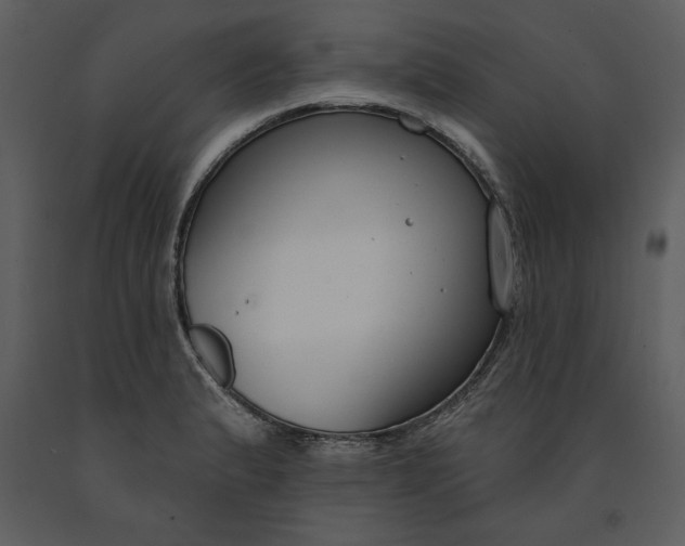 X0000090971183200708241308