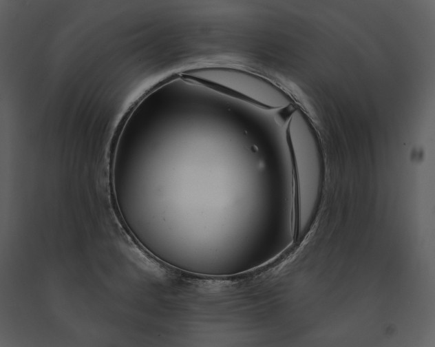 X0000090971184200708241308