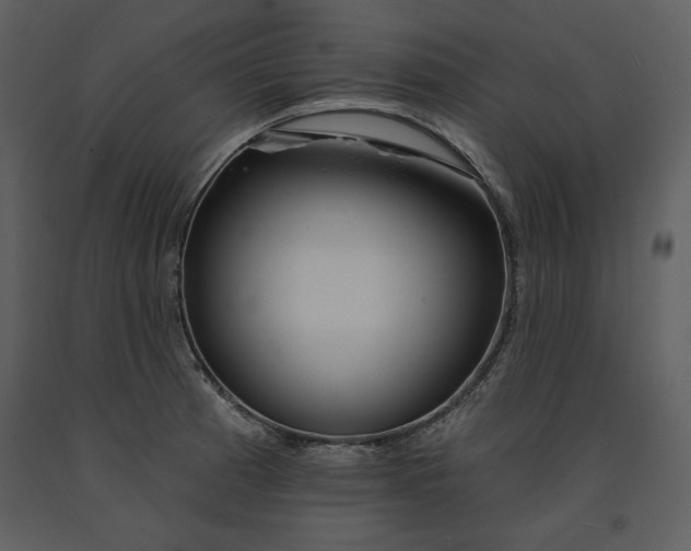 X0000090971185200708241308