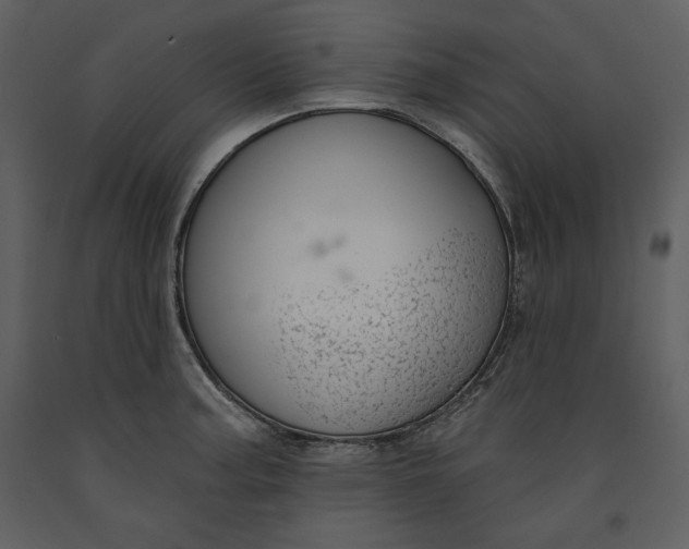 X0000090971187200708241308