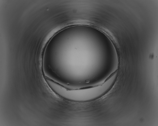 X0000090971188200708241308