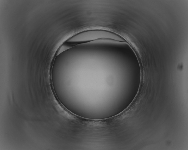 X0000090971189200708241308