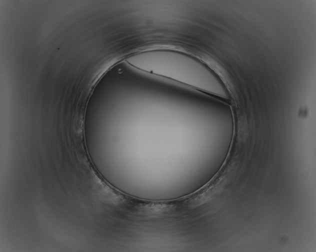 X0000090971193200708241308