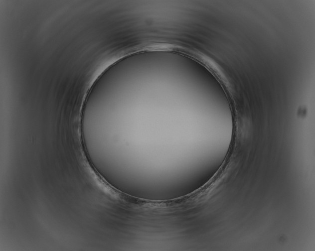 X0000090971194200708241308