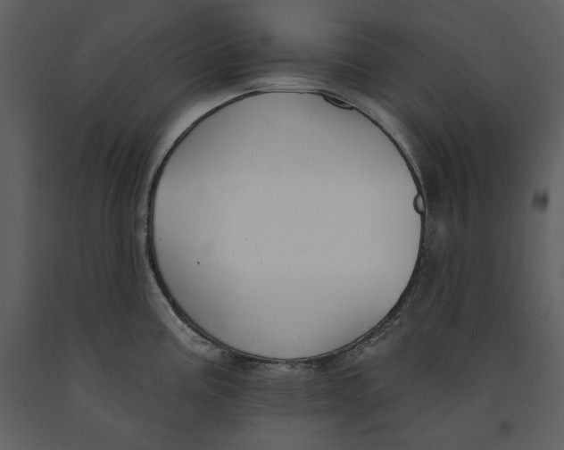 X0000090971195200708241308