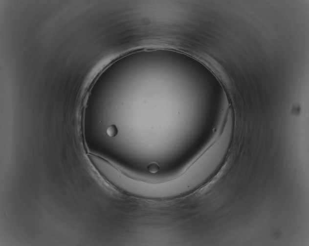 X0000090971196200708241308