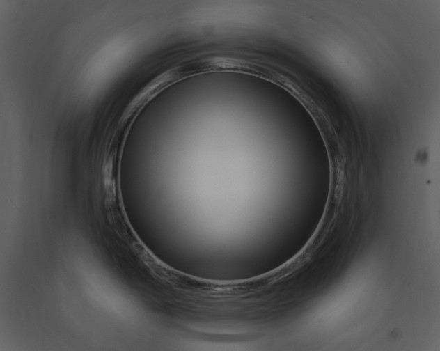 X0000090971198200708241308