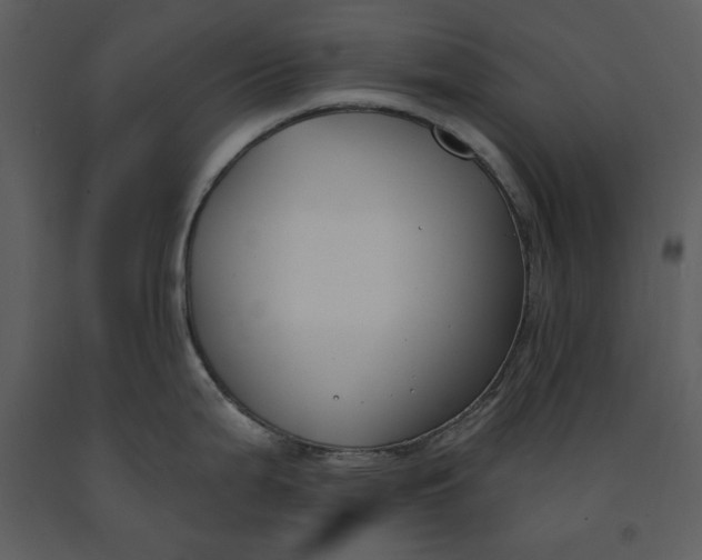 X0000090971199200708241308