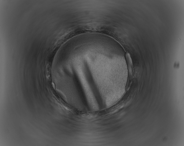 X0000090971202200708241307