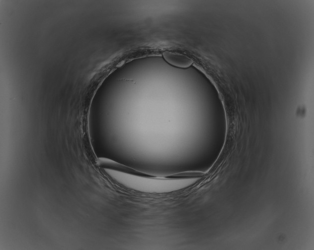 X0000090971205200708241307