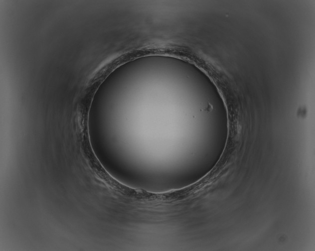 X0000090971206200708241307