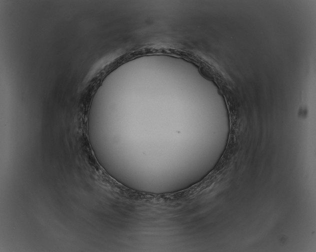 X0000090971207200708241307