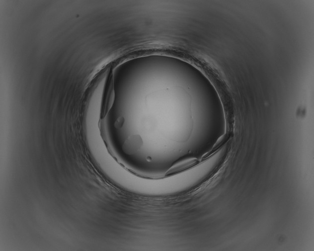 X0000090971210200708241307