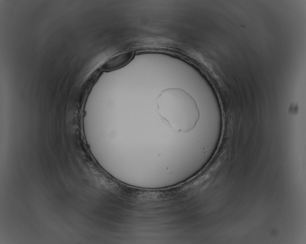 X0000090971211200708241307