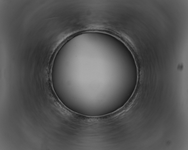 X0000090971212200708241307